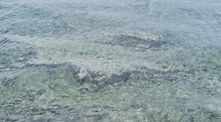 das Foto mit der Überschrift "PerlentauerIn gesucht" zeigt den Blick durch klares Wasser auf einen steinigen Meeresboden